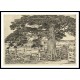 Big Cedar Wainscott L. I. 1929, A New Print Of a Frederick Childe Hassam Painting