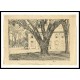 Campus and Library Andover 1930, A New Print Of a Frederick Childe Hassam Painting