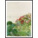 Field of Poppies Isles of Shaos Appledore 1890, A New Print Of a Frederick Childe Hassam Painting