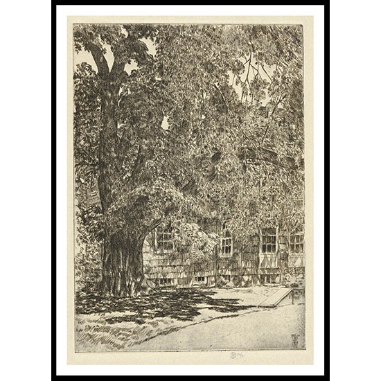 Giant Elm 1929, A New Print Of a Frederick Childe Hassam Painting