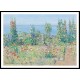 Hollyhocks Isle of Shoals 1902, A New Print Of a Frederick Childe Hassam Painting