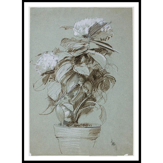 Hydrangeas 1887, A New Print Of a Frederick Childe Hassam Painting