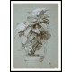 Hydrangeas 1887, A New Print Of a Frederick Childe Hassam Painting