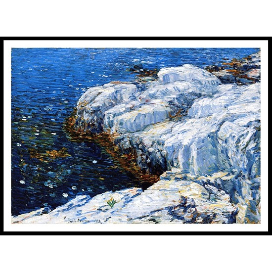 Jelly Fish 1912, A New Print Of a Frederick Childe Hassam Painting