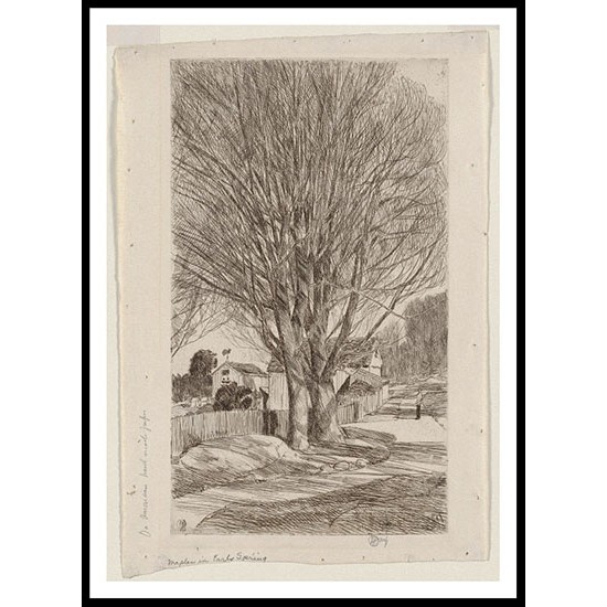 Maples in Early Spring 1931, A New Print Of a Frederick Childe Hassam Painting