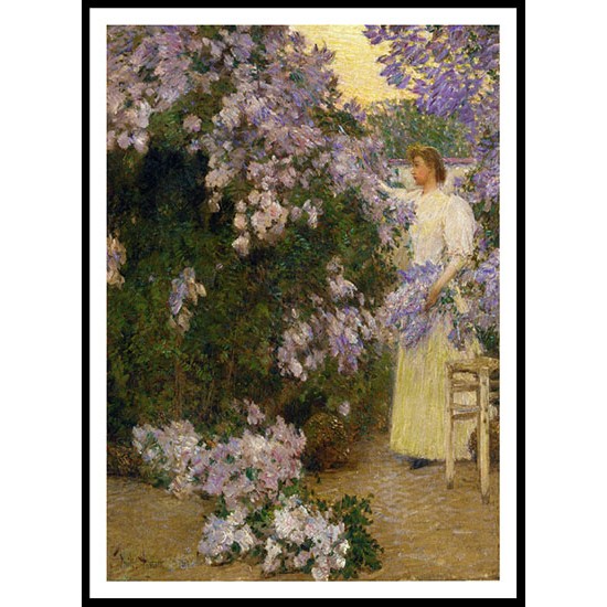 Mrs. Hassam in the Garden 1896, A New Print Of a Frederick Childe Hassam Painting