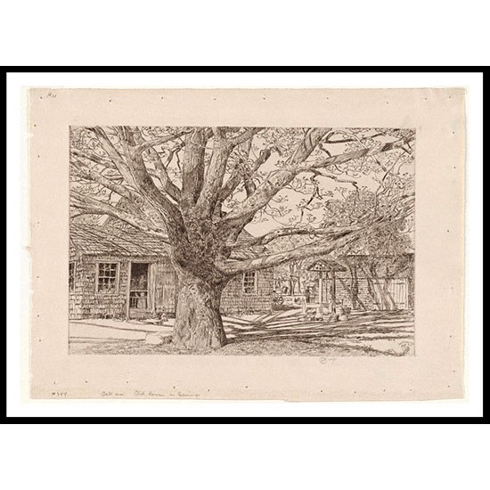 Oak and Old House in Spring 1931, A New Print Of a Frederick Childe Hassam Painting