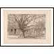 Oak and Old House in Spring 1931, A New Print Of a Frederick Childe Hassam Painting