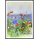 Poppies Isles of Shoals 02 1891, A New Print Of a Frederick Childe Hassam Painting