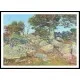 2436, A New Print Of a Frederick Childe Hassam Painting 2436, A New Print Of a Frederick Childe Hassam Painting