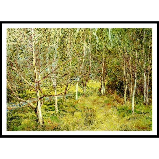 Spring Woods 1921, A New Print Of a Frederick Childe Hassam Painting