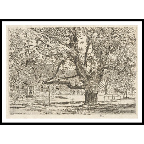 The Big Horse Chestnut Tree Easthampton 1928, A New Print Of a Frederick Childe Hassam Painting