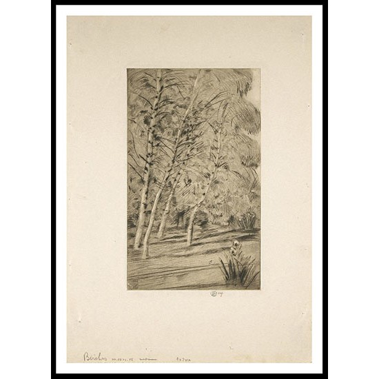 The Birches 1922, A New Print Of a Frederick Childe Hassam Painting