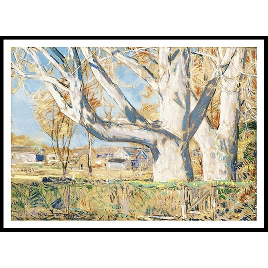 The Giant Ailanthus October 1931, A New Print Of a Frederick Childe Hassam Painting