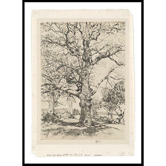 Wayside Inn Oaks in Spring 1926, A New Print Of a Frederick Childe Hassam Painting