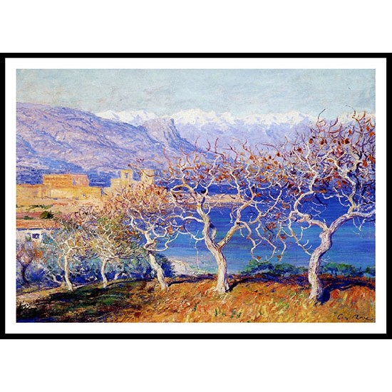 Fig Trees Antibes 1910, A New Print Of a Guy Rose Painting