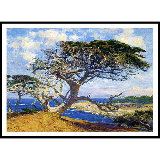 Monterey Cypress, A New Print Of a Guy Rose Painting