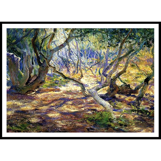 Oak Grove Carmel 1919, A New Print Of a Guy Rose Painting