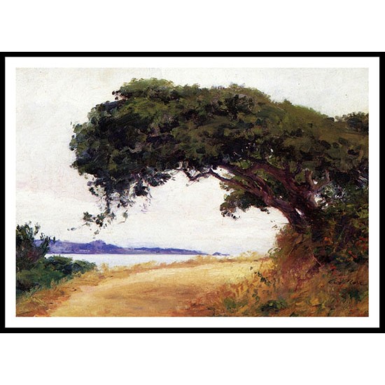 Point Lobos Oak Tree, A New Print Of a Guy Rose Painting