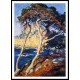 Point Lobos Trees 1919, A New Print Of a Guy Rose Painting