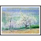 Springtime in Normandy, A New Print Of a Guy Rose Painting