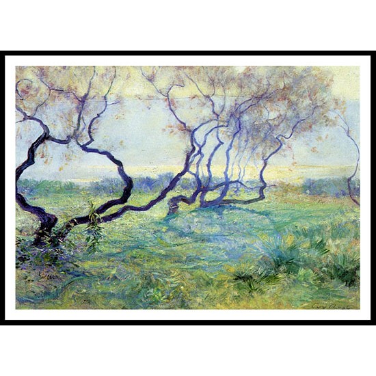 Tamarisk Trees in Early Sunlight, A New Print Of a Guy Rose Painting