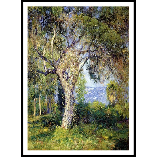 The Oak, A New Print Of a Guy Rose Painting