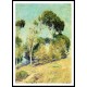 Windswept Trees Laguna, A New Print Of a Guy Rose Painting