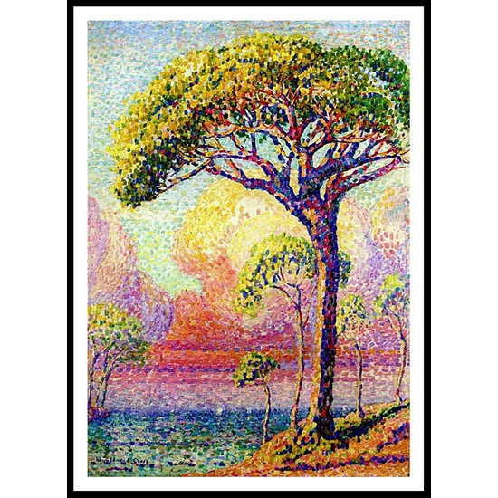 A Pine Tree 1905, A New Print Of an Henri Edmond Cross Painting