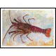 Lobster, A New Print Of an Henri  Labasque Painting