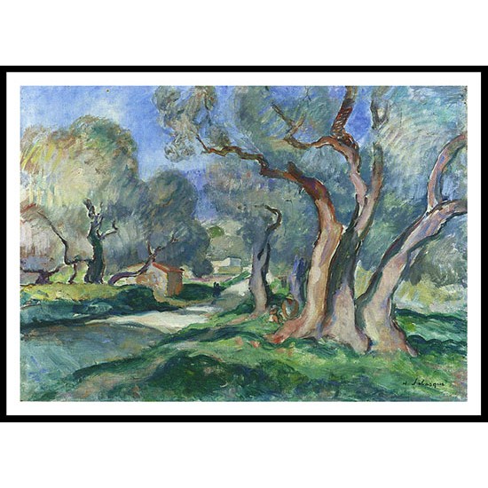 Path Among the Olive Trees 1926, A New Print Of an Henri  Labasque Painting