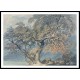 A Great Tree 1796, A New Print Of a J. M. W Turner Painting