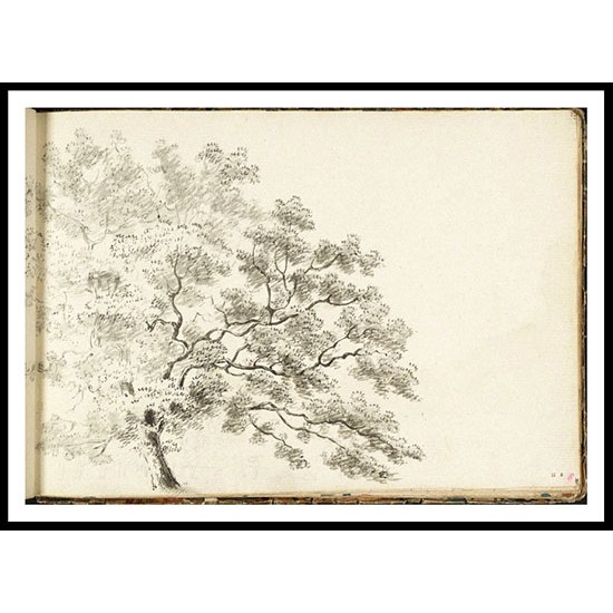 A Tree with a Line of Trees Beyond 1789, A New Print Of a J. M. W Turner Painting