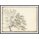 A Tree with a Line of Trees Beyond 1789, A New Print Of a J. M. W Turner Painting