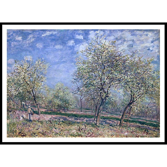 Apple Trees in Flower 1880, A New Print Of an Alfred Sisley Painting