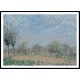 Apple Trees in Flower Louveciennes 1873, A New Print Of an Alfred Sisley Painting