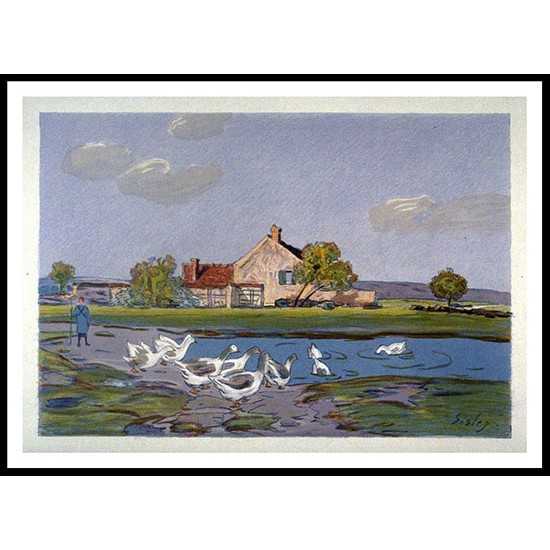 Geese 1897, A New Print Of an Alfred Sisley Painting