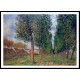 Lane of Poplars at Moret Cloudy Day Morning 1888, A New Print Of an Alfred Sisley Painting