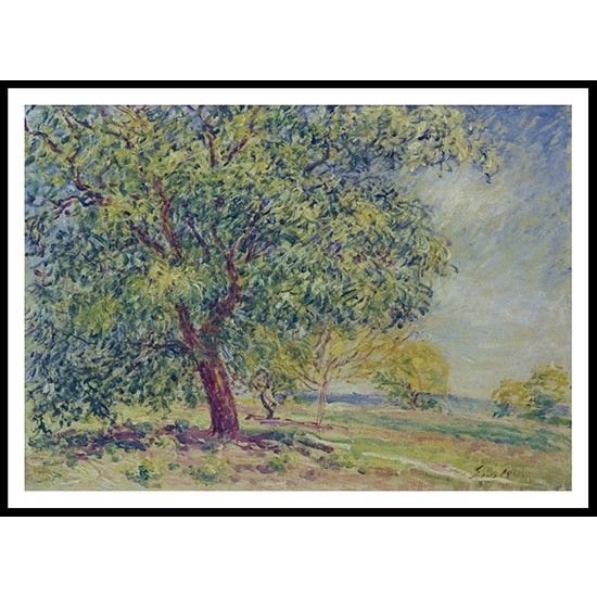 Nut Trees near Sablons, A New Print Of an Alfred Sisley Painting