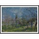 Orchard in Spring 1883, A New Print Of an Alfred Sisley Painting