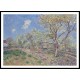 Spring at Veneux 1880, A New Print Of an Alfred Sisley Painting