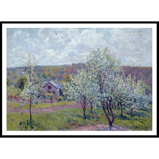 Spring in the Environs of Paris Apple Blossom 1879, A New Print Of an Alfred Sisley Painting