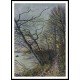 The Trees Veneux Nadon 1886, A New Print Of an Alfred Sisley Painting