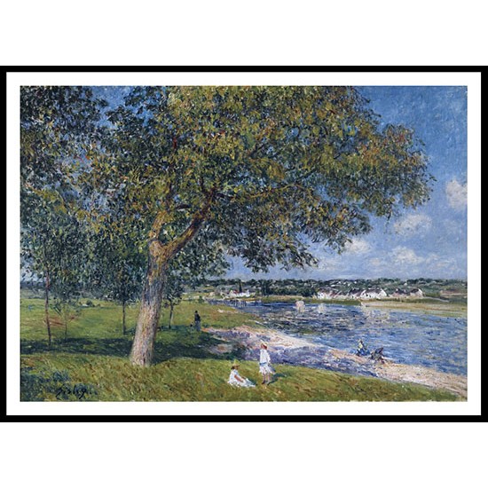 Walnut Tree in a Thomery Field, A New Print Of an Alfred Sisley Painting