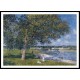 Walnut Tree in a Thomery Field, A New Print Of an Alfred Sisley Painting