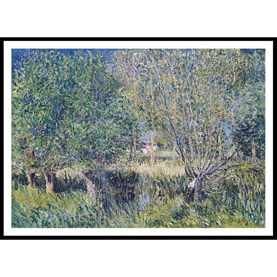 Willows on the Banks of the Orvanne 1883, A New Print Of an Alfred Sisley Painting