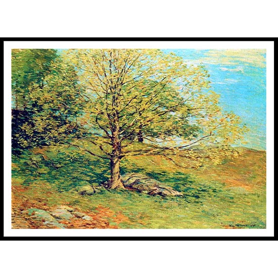 Budding Oak 1906, A New Print Of A Willard Leroy Metcalf