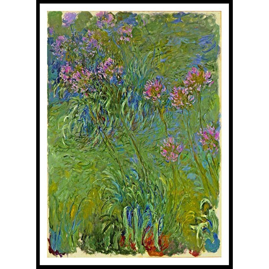 Agapanthus Flowers 1914 17, A New Print Of a Painting By Adolphe Monet