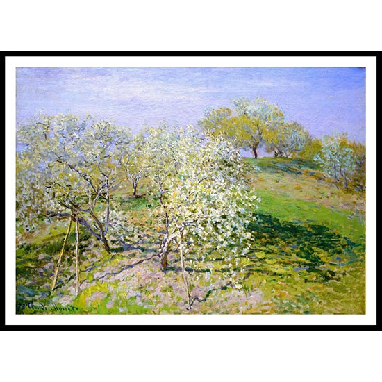 Apple Trees in Bloom 1873, A New Print Of a Painting By Adolphe Monet