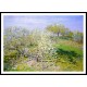 Apple Trees in Bloom 1873, A New Print Of a Painting By Adolphe Monet